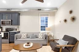 81 A Spring