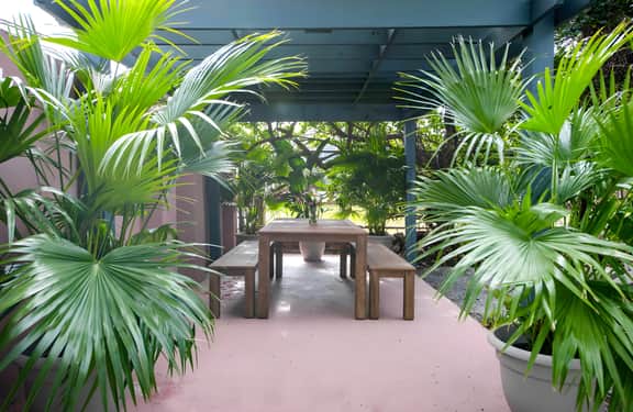 253 Saint Philip 1BR