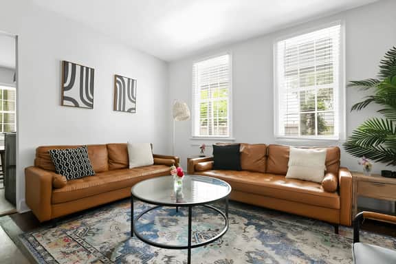 29 Cannon (NEW)